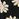 Black and off-white floral intarsia-knitted sweater