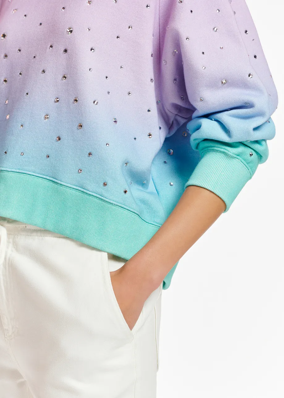 Paarse, lila en turquoise sweater met stras