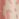 Beige and vintage pink jacquard-knit lurex pants