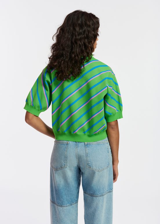 Groen, blauw en lila gestreepte polo