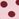 Pink and burgundy polka dot jacquard socks