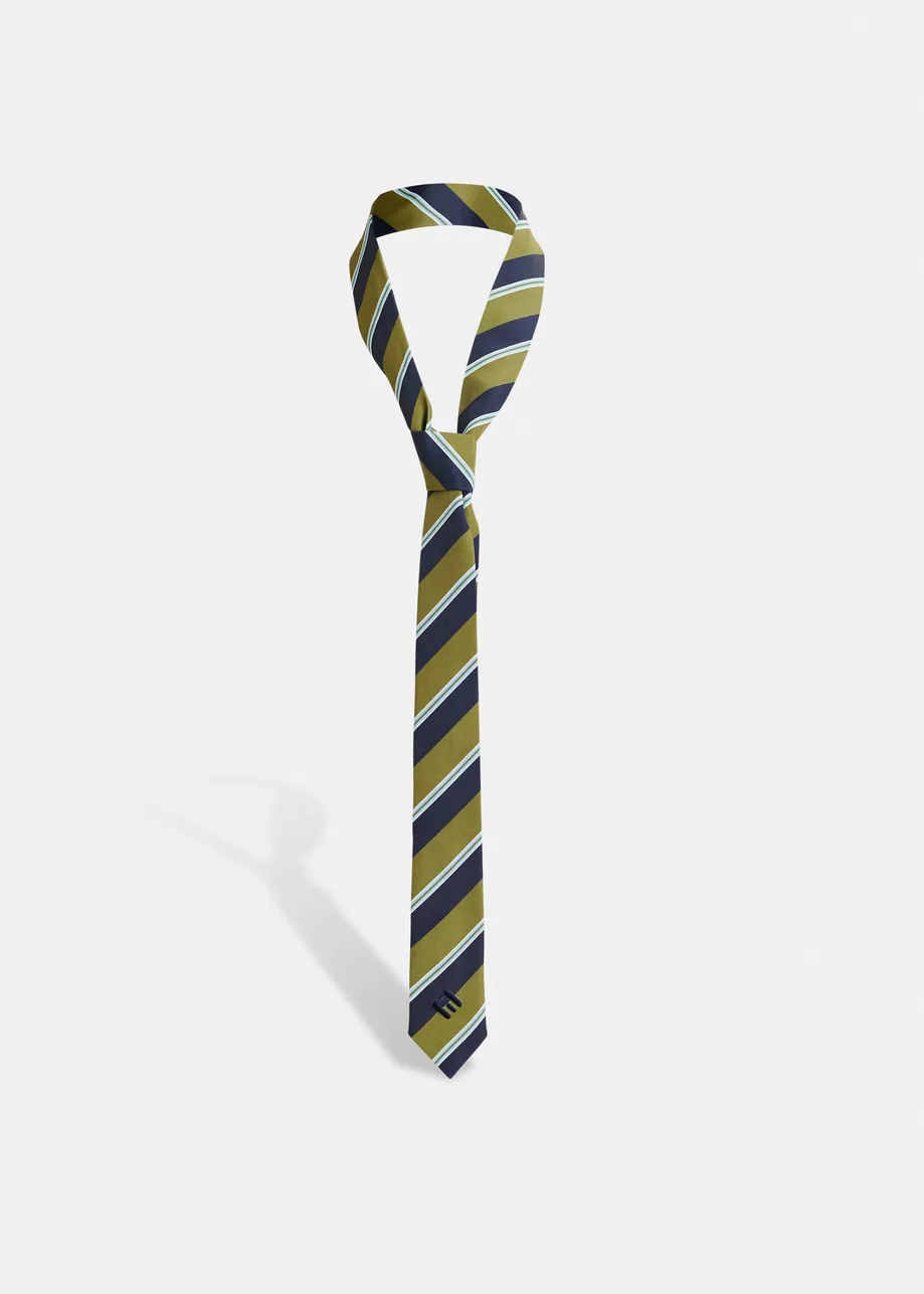 Green, dark blue and light blue striped tie with 'E' logo