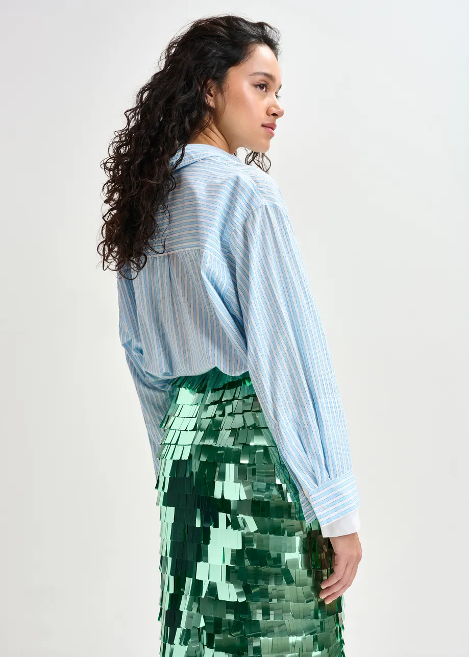 Blue and white striped cotton shirt with embroidered detail