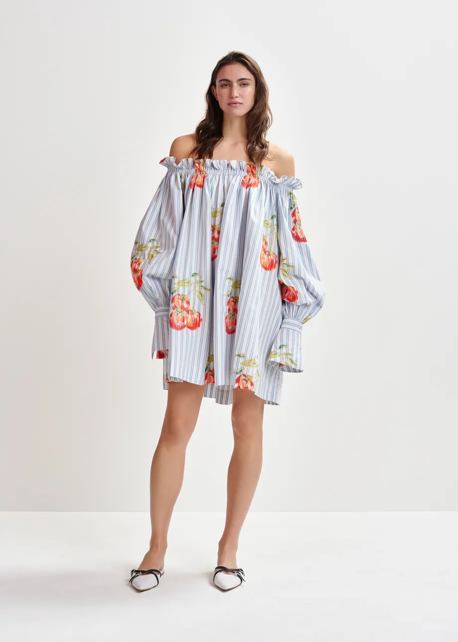 Blue, white and burned orange striped off-the-shoulder mini dress with embroidery
