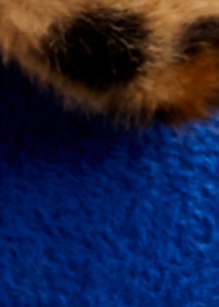 Blauwe cardigan met verwijderbare faux fur luipaardkraag