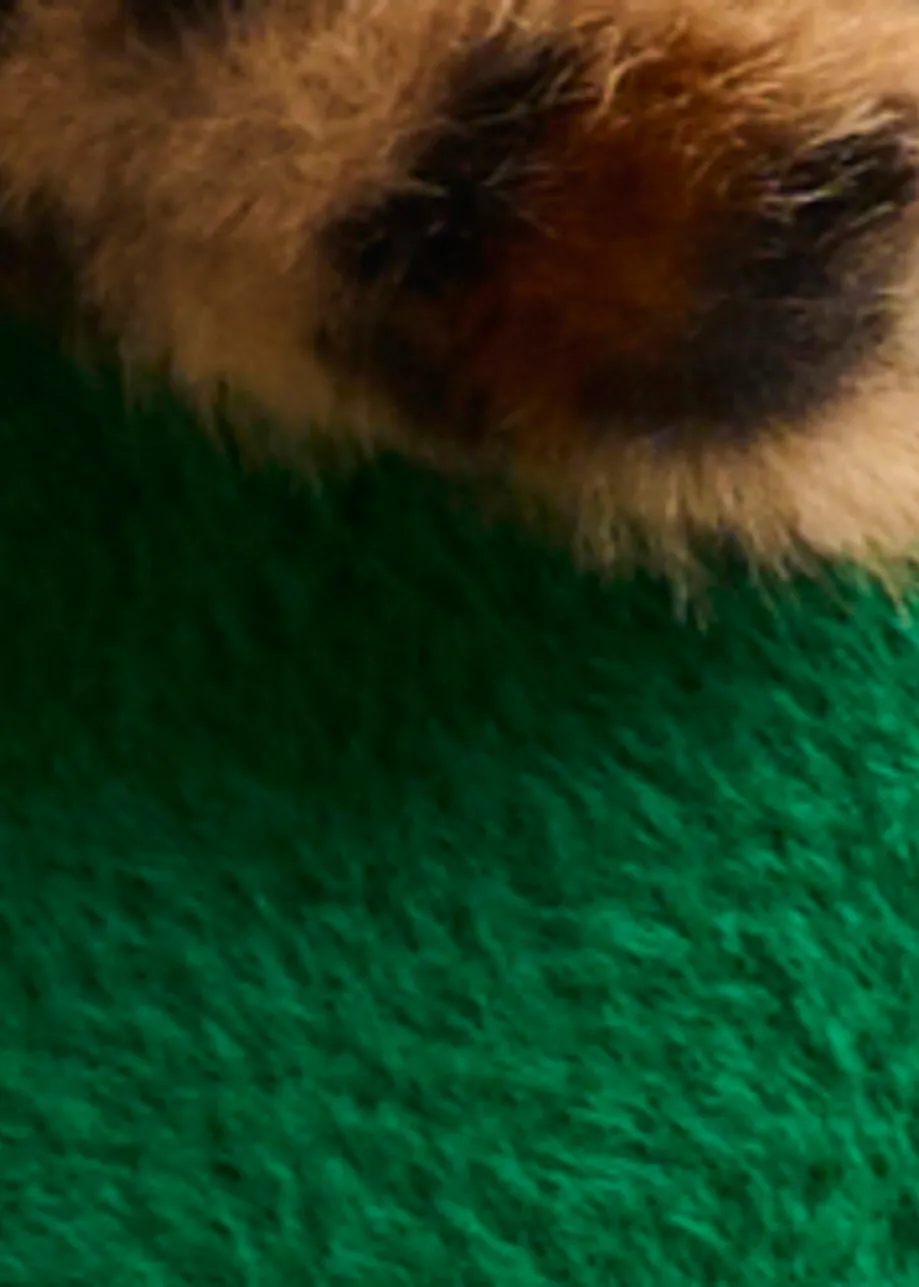 Groene cardigan met verwijderbare faux fur luipaardkraag