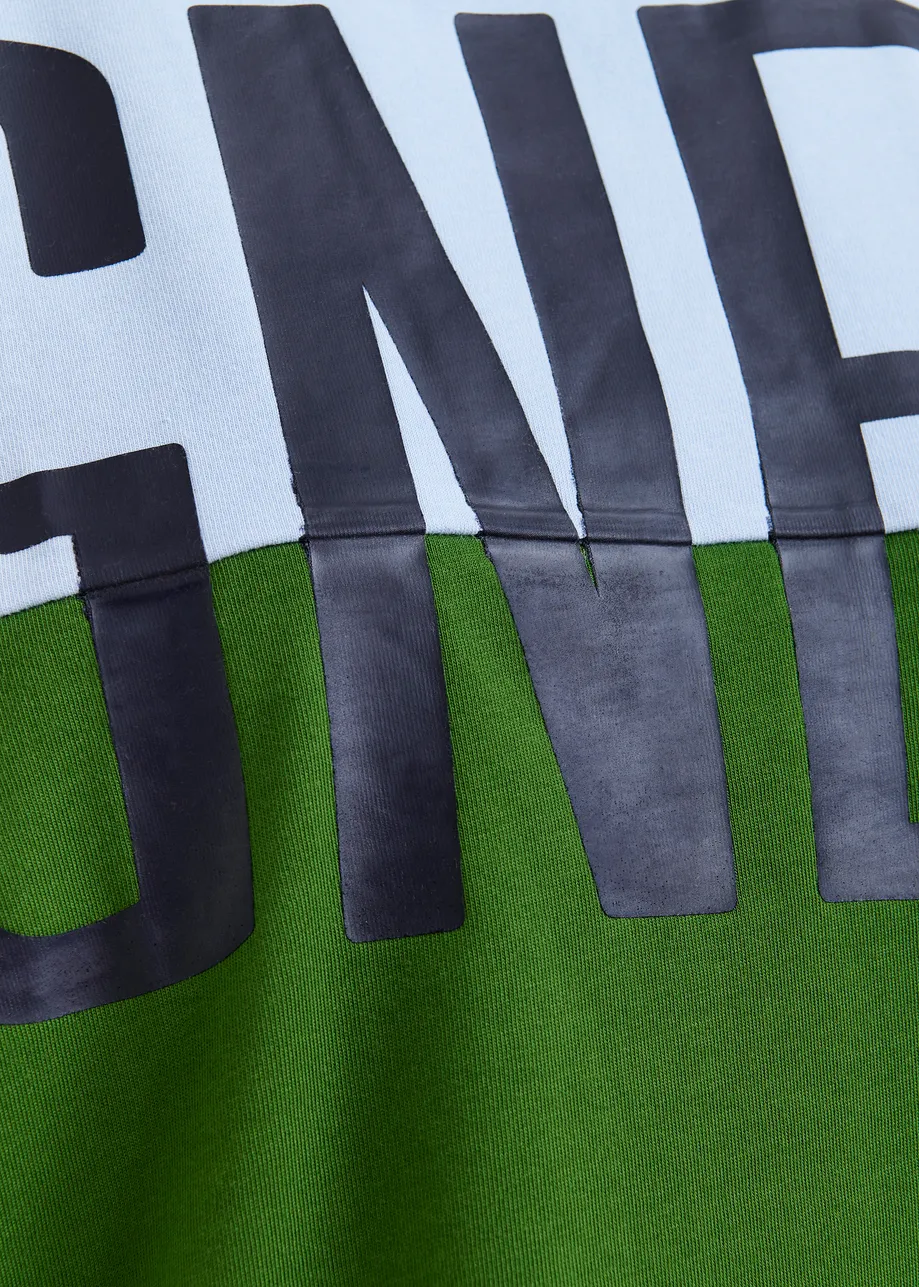 Lichtblauw en groen colorblock T-shirt met "Magnetism"-print