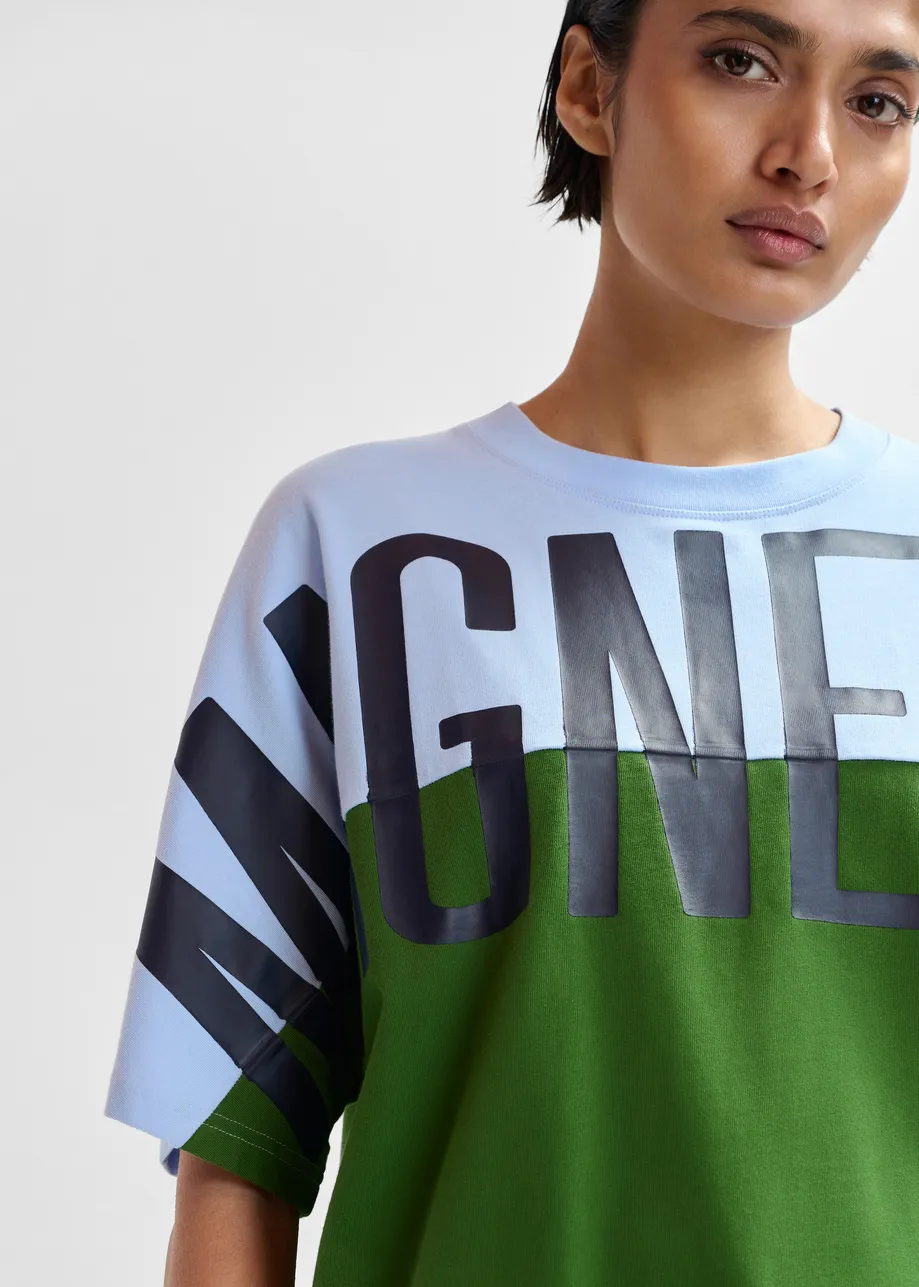 Lichtblauw en groen colorblock T-shirt met "Magnetism"-print