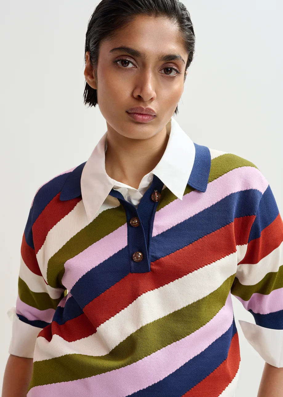 Gestreiftes Strick-Polohemd in Marineblau und Mehrfarbig mit Knopfleiste