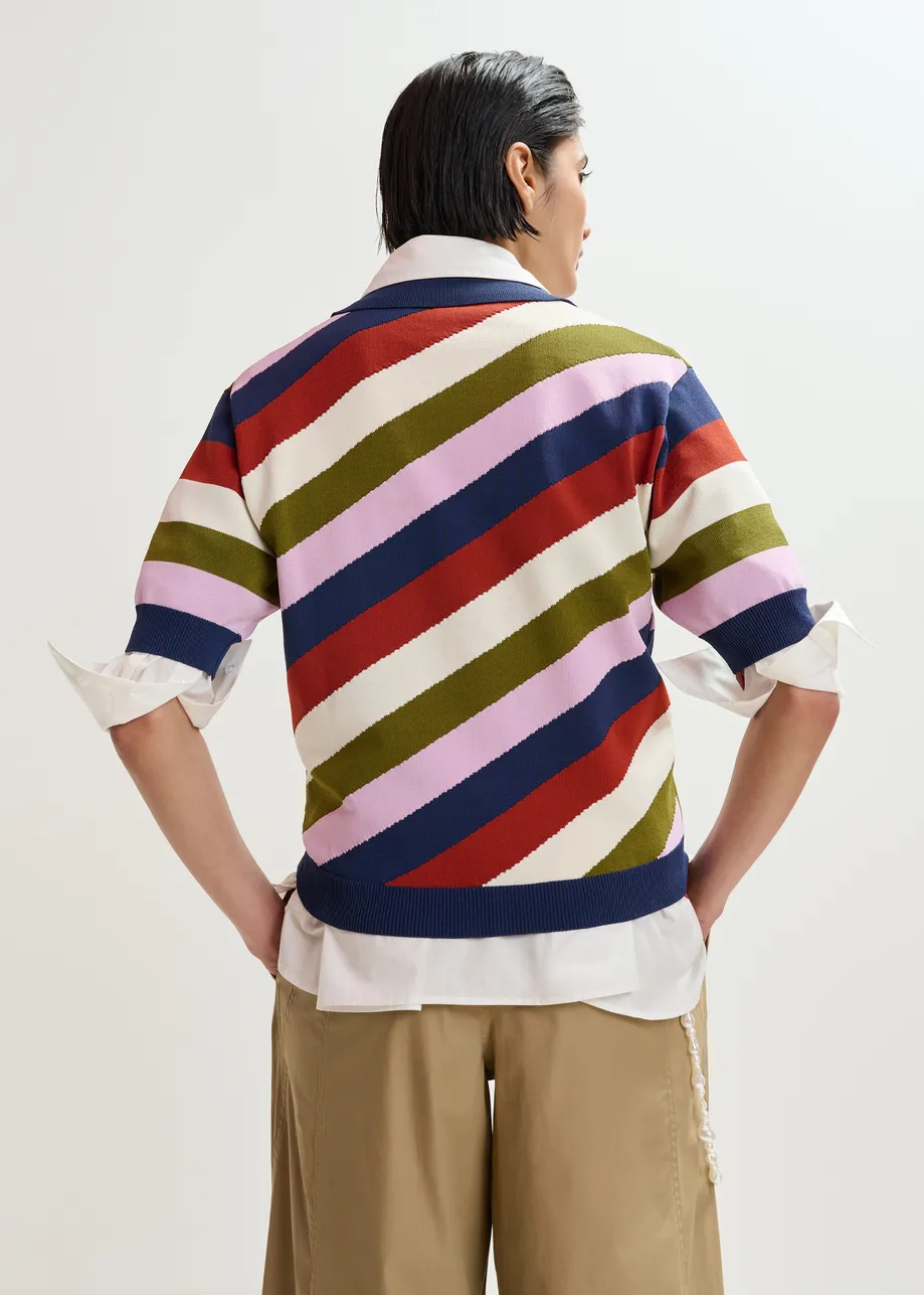 Gestreiftes Strick-Polohemd in Marineblau und Mehrfarbig mit Knopfleiste