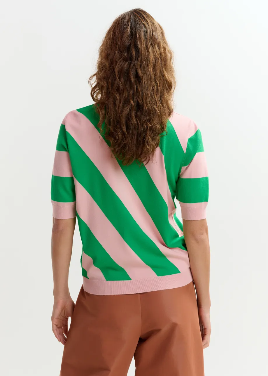 Light pink and green striped polo with embellished collar